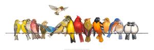 Large Bird Menagerie by Wendy Russell