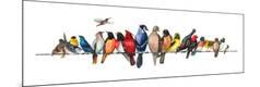 Premium Giclee Print