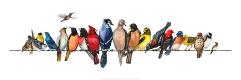Premium Giclee Print