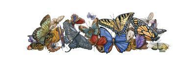 Wings of Splendor I-Wendy Russell-Art Print