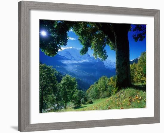 Wengwald, Switzerland-Peter Adams-Framed Photographic Print