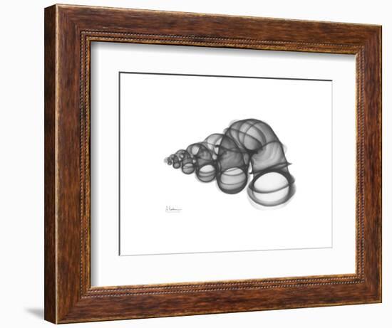 Wentle Trap-Albert Koetsier-Framed Premium Giclee Print