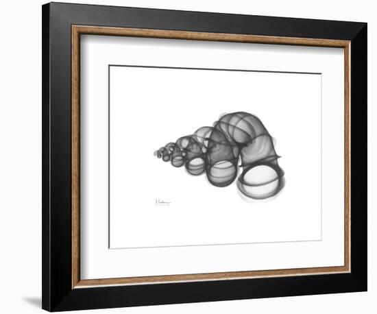 Wentle Trap-Albert Koetsier-Framed Premium Giclee Print