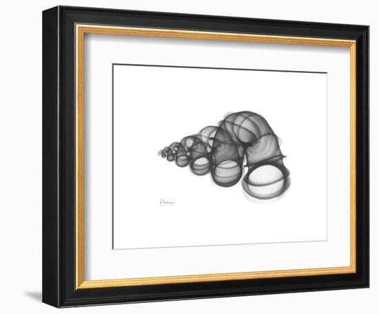 Wentle Trap-Albert Koetsier-Framed Premium Giclee Print