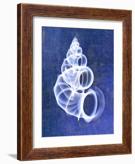 Wentletrap Shell (indigo)-Bert Myers-Framed Art Print