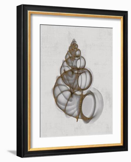 Wentletrap Shell-Bert Myers-Framed Art Print