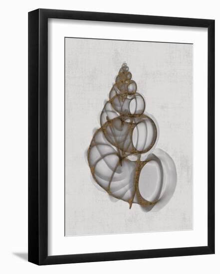 Wentletrap Shell-Bert Myers-Framed Art Print