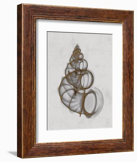 Wentletrap Shell-Bert Myers-Framed Art Print