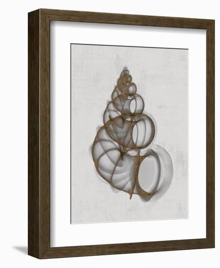 Wentletrap Shell-Bert Myers-Framed Art Print