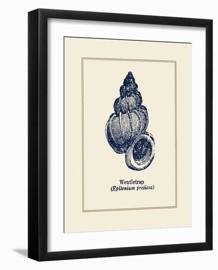 Wentletrap Shell-Gregory Gorham-Framed Art Print