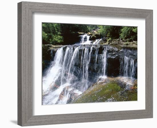 Wentworth Falls, Blue Mountains, New South Wales (Nsw), Australia-Robert Francis-Framed Photographic Print