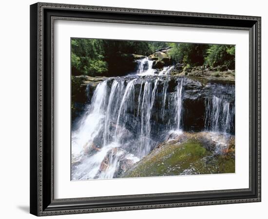 Wentworth Falls, Blue Mountains, New South Wales (Nsw), Australia-Robert Francis-Framed Photographic Print