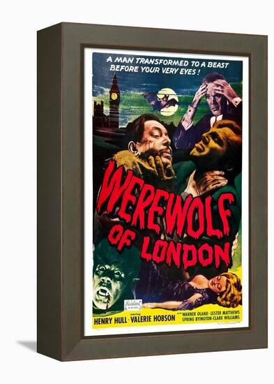 Werewolf of London, Warner Oland, Henry Hull, 1935-null-Framed Stretched Canvas