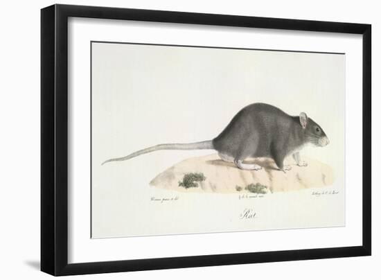 Giclee Print, , large
