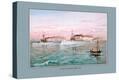 Stretched Canvas Print