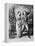 Werther-Tony Johannot-Framed Premier Image Canvas
