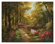 Enchanted Creek I-Wesley-Art Print