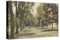 Stretched Canvas Print