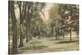 Stretched Canvas Print