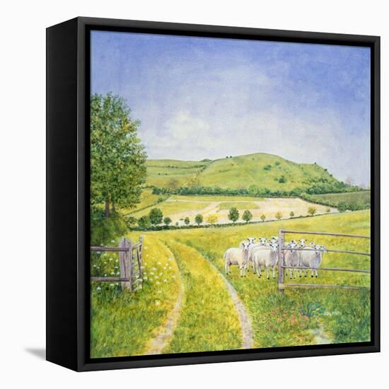 Wessex Sheep-Ditz-Framed Premier Image Canvas