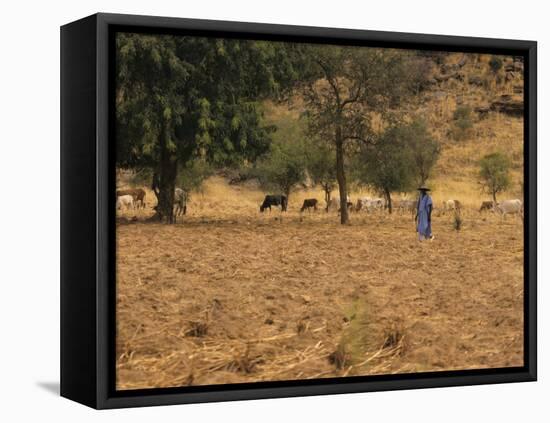 West African Herder and Cows, Mali, West Africa-Ellen Clark-Framed Premier Image Canvas