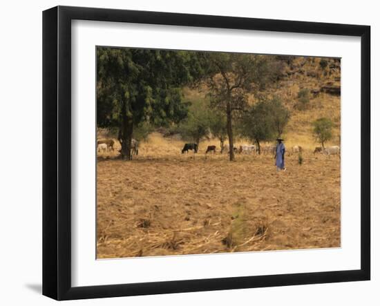 West African Herder and Cows, Mali, West Africa-Ellen Clark-Framed Photographic Print