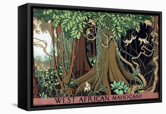 West African Mahogany-Keith Henderson-Framed Premier Image Canvas
