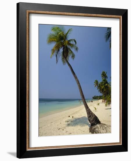 West Bay, Roatan, Largest of the Bay Islands, Honduras, Caribbean, Central America-Robert Francis-Framed Photographic Print