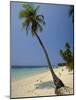 West Bay, Roatan, Largest of the Bay Islands, Honduras, Caribbean, Central America-Robert Francis-Mounted Photographic Print