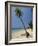 West Bay, Roatan, Largest of the Bay Islands, Honduras, Caribbean, Central America-Robert Francis-Framed Photographic Print