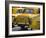West Bengal, Kolkata, Calcutta, Yellow Ambassador Taxis, India-Jane Sweeney-Framed Photographic Print