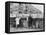 West Berliners Peer over the Infamous Berlin Wall in 1962-null-Framed Stretched Canvas