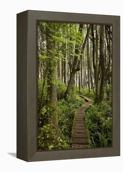 West Coast Trail Along the Pacific Northwest-Sergio Ballivian-Framed Premier Image Canvas