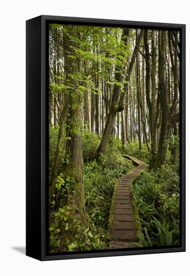 West Coast Trail Along the Pacific Northwest-Sergio Ballivian-Framed Premier Image Canvas