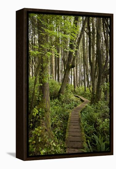 West Coast Trail Along the Pacific Northwest-Sergio Ballivian-Framed Premier Image Canvas