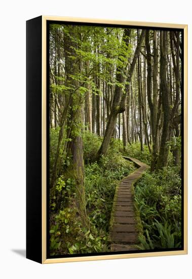 West Coast Trail Along the Pacific Northwest-Sergio Ballivian-Framed Premier Image Canvas