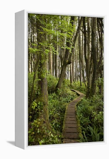 West Coast Trail Along the Pacific Northwest-Sergio Ballivian-Framed Premier Image Canvas