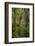 West Coast Trail Along the Pacific Northwest-Sergio Ballivian-Framed Photographic Print