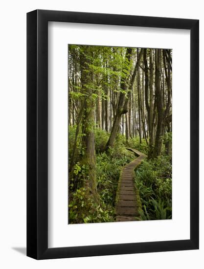 West Coast Trail Along the Pacific Northwest-Sergio Ballivian-Framed Photographic Print