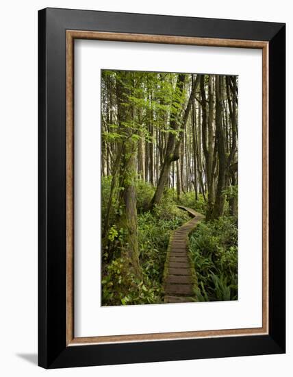 West Coast Trail Along the Pacific Northwest-Sergio Ballivian-Framed Photographic Print