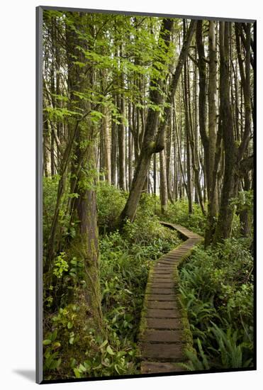 West Coast Trail Along the Pacific Northwest-Sergio Ballivian-Mounted Photographic Print