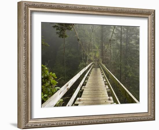 West Coast Trail - Day 3-Sergio Ballivian-Framed Photographic Print