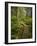 West Coast Trail - Day 3-Sergio Ballivian-Framed Photographic Print