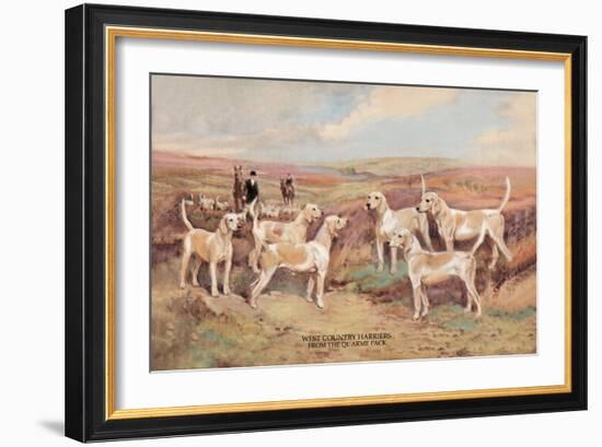 West Country Harriers-Thomas Ivester Llyod-Framed Art Print