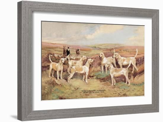 West Country Harriers-Thomas Ivester Llyod-Framed Art Print
