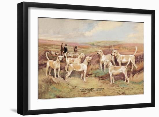 West Country Harriers-Thomas Ivester Llyod-Framed Art Print