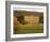 West Elevation, Chatsworth House in Autumn, Derbyshire, England-Nigel Francis-Framed Photographic Print