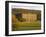 West Elevation, Chatsworth House in Autumn, Derbyshire, England-Nigel Francis-Framed Photographic Print