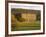 West Elevation, Chatsworth House in Autumn, Derbyshire, England-Nigel Francis-Framed Photographic Print