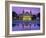 West Front of the Casino, Monte Carlo, Monaco, Europe-Ruth Tomlinson-Framed Photographic Print